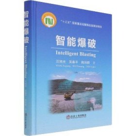 智能爆破 冶金工业出版社