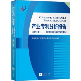 产业专利分析报告（第91册）——新能源汽车动力电池安全关键技术