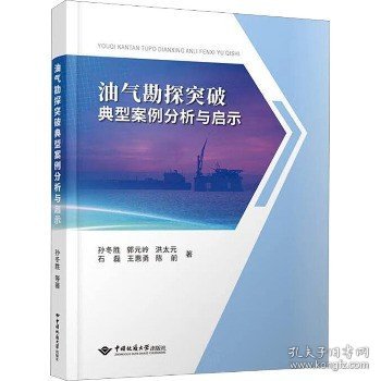 油气勘探突破典型案例分析与启示