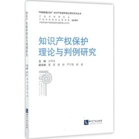 知识产权保护理论与判例研究