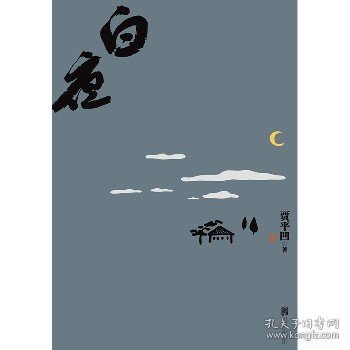 白夜：耐人寻味的当代市井图，带有魔幻色彩的现实主义力作