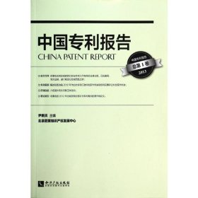 中国专利报告（总第1卷 2013）