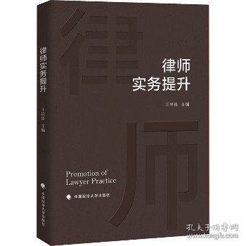 律师实务提升王祥修法律实务社科专著中国政法大学出版社