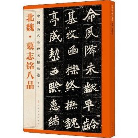 中国历代名碑名帖精选·北魏·墓志铭八品
