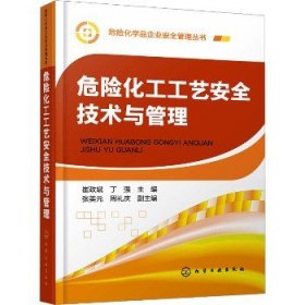 危险化工工艺安全技术与管理 化学工业出版社