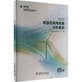 能源互联网发展分析报告 2023 中国电力出版社