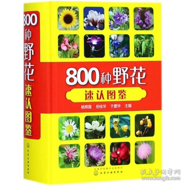 800种野花速认图鉴