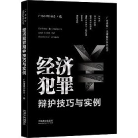 经济犯罪辩护技巧与实例