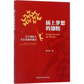 插上梦想的翅膀：关于残疾人生存发展的建议