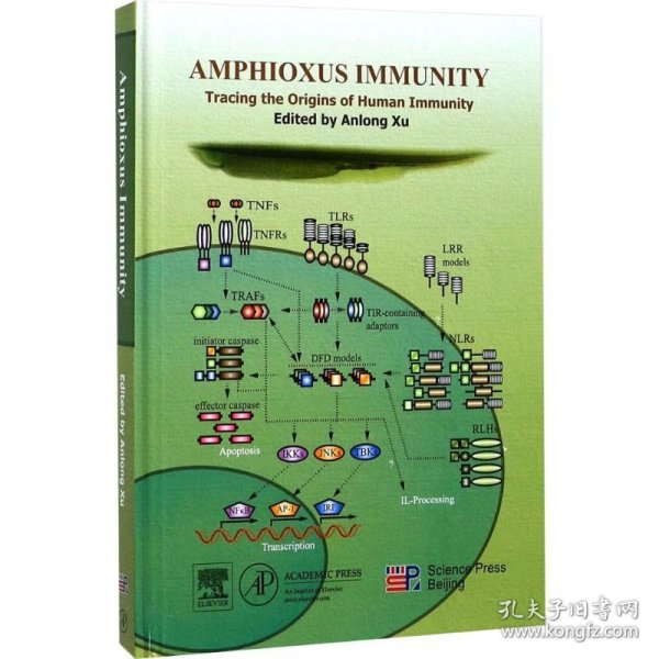 文昌鱼免疫学-追溯人类免疫的起源（英文版）