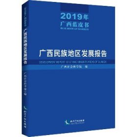 广西民族地区发展报告（2019年广西蓝皮书）——广西民族地区发展报告