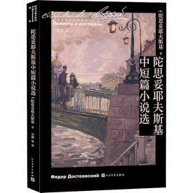 陀思妥耶夫斯基中短篇小说选 人民文学出版社