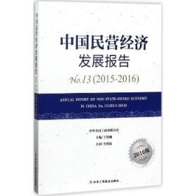 中国民营经济发展报告（2016版）（2015-2016） 中华工商联合出版社