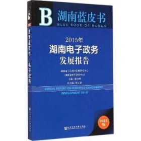 湖南蓝皮书：2015年湖南电子政务发展报告