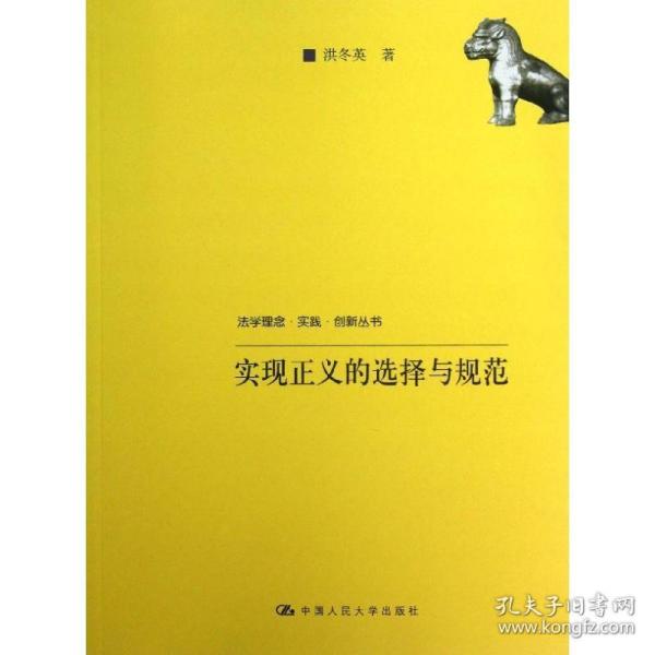 法学理念·实践·创新丛书：实现正义的选择与规范