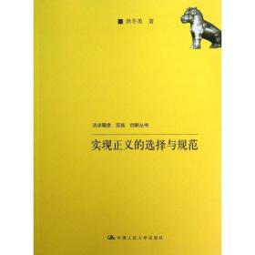 法学理念·实践·创新丛书：实现正义的选择与规范