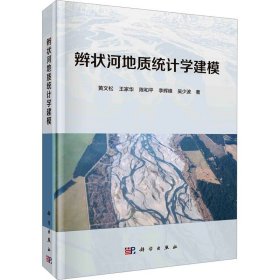 辫状河地质统计学建模