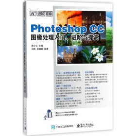 Photoshop CC图像处理入门、进阶与提高