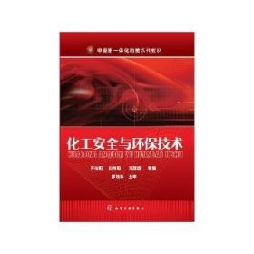 化工安全与环保技术/齐向阳 化学工业出版社