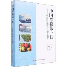 中国草莓第一县——东港市草莓产业发展史