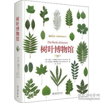 树叶博物馆 北京大学出版社