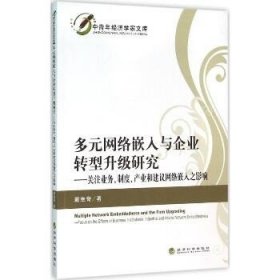 多元网络嵌入与企业转型升级研究：关注业务、制度、产业和建议网络嵌入之影响 经济科学出版社