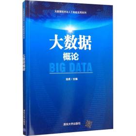 大数据概论（大数据技术与人工智能应用系列）