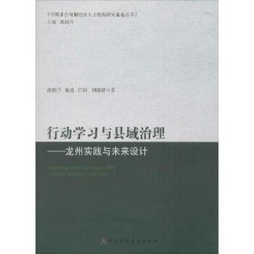 行动学习与县域治理：龙州实践与未来设计