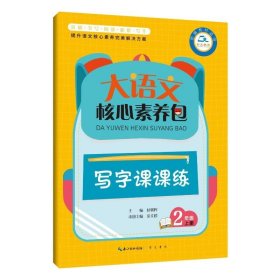 大语文核心素养包 写字课课练 2年级上册