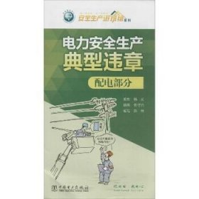 电力安全生产典型违章（配电部分） 中国电力出版社