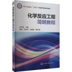 化学反应工程简明教程 化学工业出版社