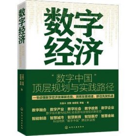 数字经济 "数字中国"顶层规划与实践路径 化学工业出版社