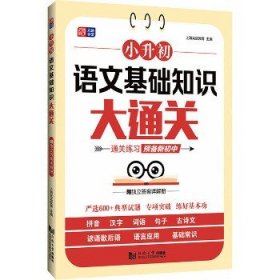 小升初 语文基础知识大通关 小学语文总复习 3～6年级语文专项训练 通关练习 预备新初中