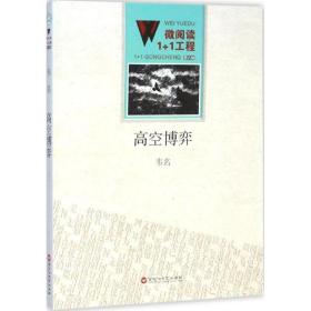 高空博弈 百花洲文艺出版社