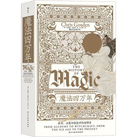 智慧宫丛书017·魔法四万年：克里斯·戈斯登著  《耶路撒冷三千年》作者西蒙·蒙蒂菲奥里倾情推荐 巫术、占星与炼金术的全球史