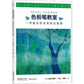 色粉笔教室：一学就会的实用技法指南