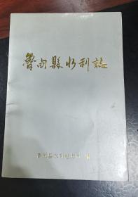 鲁甸县水利志