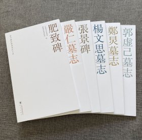 新中国新发现书法大系 张景碑肥致碑杨文思严仁郭虚己郑炅墓志铭