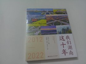 我们湖南这十年 政治理论 任晓山主编