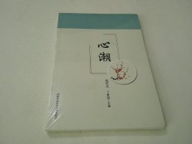 心潮
