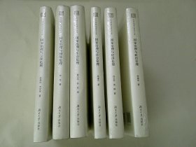 当代湖湘伦理学文库-国家治理与现代伦理丛书（全六册）