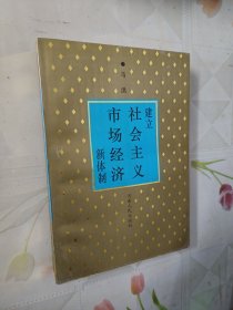 建立社会主义市场经济新体制