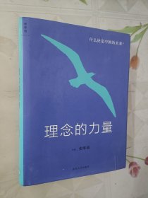 理念的力量：什么决定中国的未来