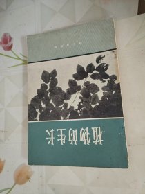 植物的生长（G.E.福格）