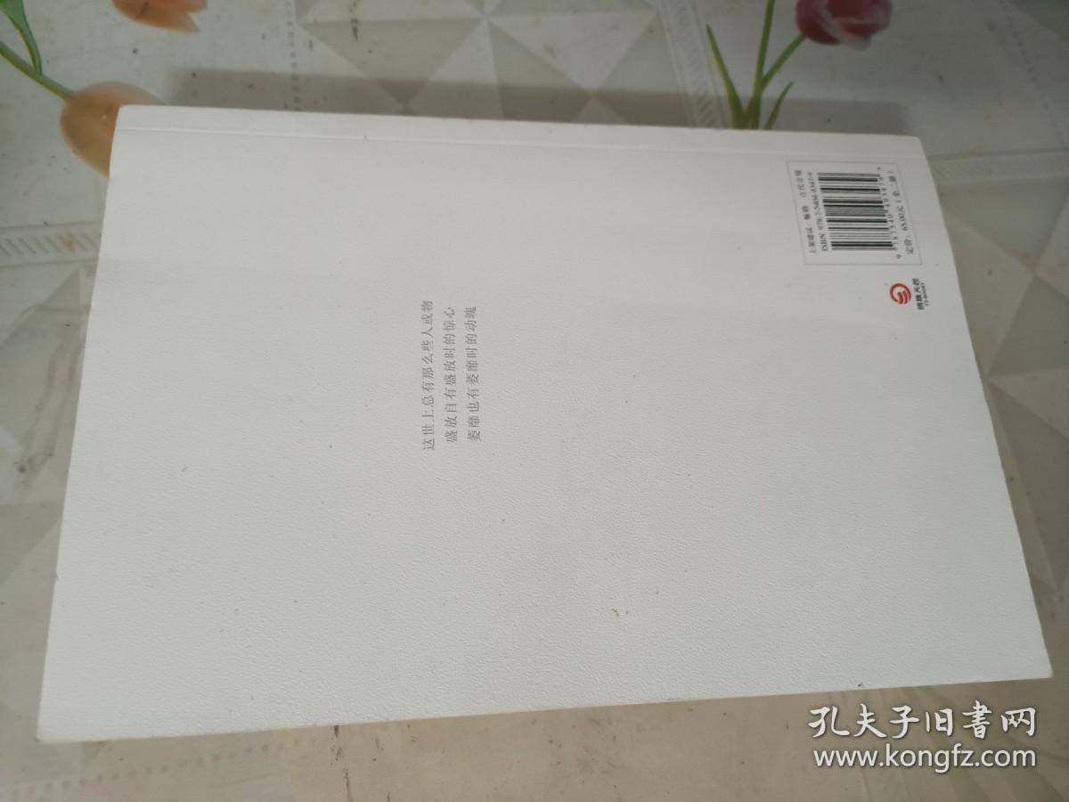 驭鲛记驭鲛记（全二册） 上下卷