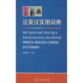 英汉实用词典 其它语种工具书 杨松荫 主编 新华正版