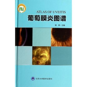 葡萄膜炎图谱 科技综合 主编杨柳 新华正版