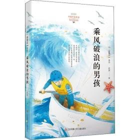 乘风破浪的男孩 儿童文学 赵菱 新华正版