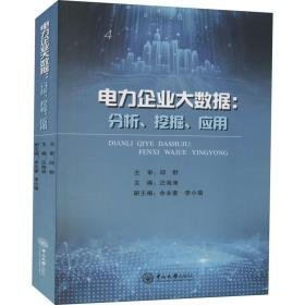 电力企业大数据:分析、挖掘、应用 经济理论、法规  新华正版