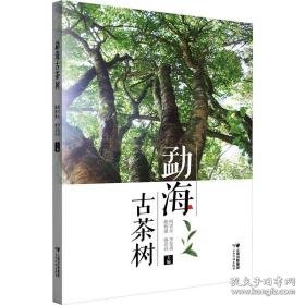 勐海古茶树 生活休闲  新华正版